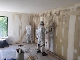 La Paloma, TX Mold Prevention & Removal  Company